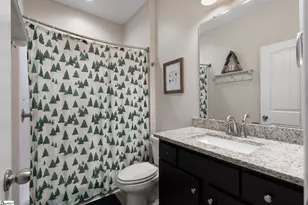 110 Gosnell Farmer Rd, Landrum, SC 29356 - Photo 26