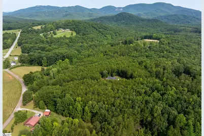 110 Gosnell Farmer Road, Landrum, SC 29356 - Photo 48