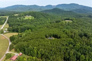 110 Gosnell Farmer Rd, Landrum, SC 29356 - Photo 48