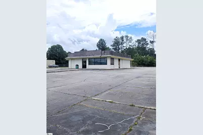 1051 Wc Dobbins Highway, Clinton, SC 29325 - Photo 2
