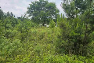348 Dillon Dr, Clinton, SC 29325 - Photo 1