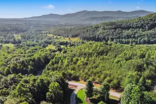 2554 Deep Gap Farm Rd, Mill Spring, NC 28756 - Photo 4