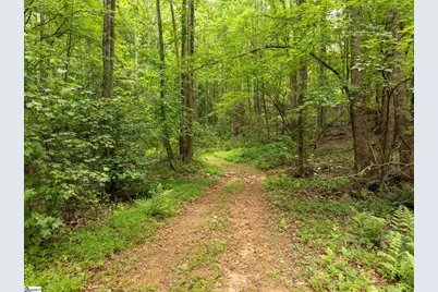 1350 Lee Cudd Road, Rutherfordton, NC 28139 - Photo 6