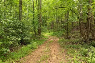 1350 Lee Cudd Rd, Rutherfordton, NC 28139 - Photo 6