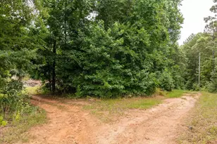 1350 Lee Cudd Rd, Rutherfordton, NC 28139 - Photo 4