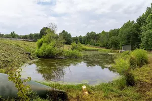 1350 Lee Cudd Rd, Rutherfordton, NC 28139 - Photo 8