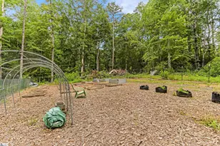 155 Shepherd Springs Dr, Cleveland, SC 29635 - Photo 28