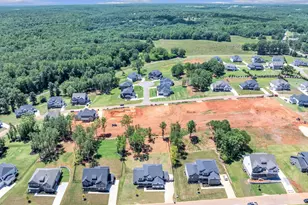 226 Holly Br Rd, Piedmont, SC 29673 - Photo 42