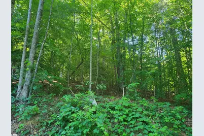 00 Hidden Valley Road, Marietta, SC 29661 - Photo 2