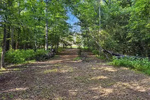 15 Barlia Way, Greenville, SC 29607 - Photo 34