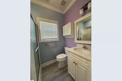 20 Shady Hollow Lane, Greer, SC 29651 - Photo 24
