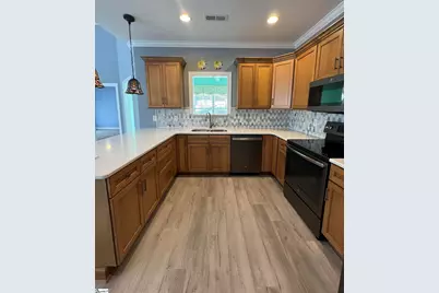 20 Shady Hollow Lane, Greer, SC 29651 - Photo 12
