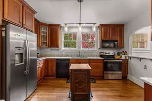 29 McAdoo Ave, Greenville, SC 29607 - Photo 10