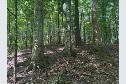 Old Calhoun Falls Road, Abbeville, SC 29620 - Photo 8