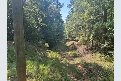 Old Calhoun Falls Road, Abbeville, SC 29620 - Photo 12