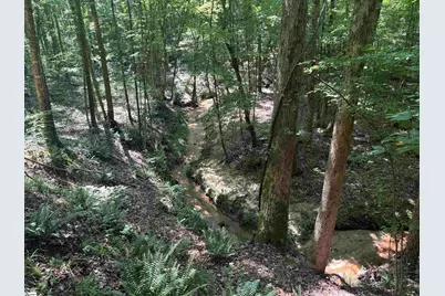 Old Calhoun Falls Road, Abbeville, SC 29620 - Photo 1