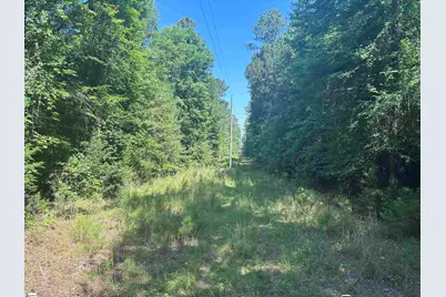 Old Calhoun Falls Road, Abbeville, SC 29620 - Photo 16
