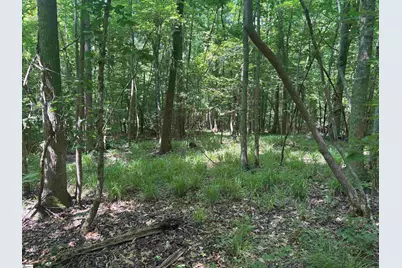 Old Calhoun Falls Road, Abbeville, SC 29620 - Photo 2