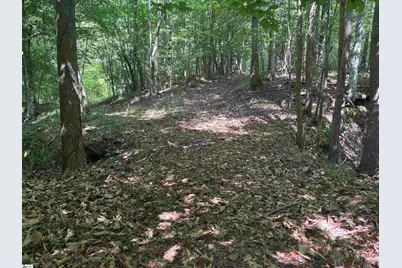 Old Calhoun Falls Road, Abbeville, SC 29620 - Photo 10