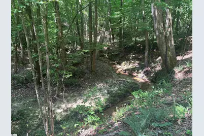 Old Calhoun Falls Road, Abbeville, SC 29620 - Photo 1