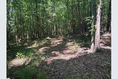 Old Calhoun Falls Road, Abbeville, SC 29620 - Photo 12