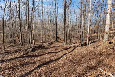 413 Edisto. Road, Gray Court, SC 29645 - Photo 16