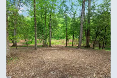 241 Bramlett Road, Greer, SC 29651 - Photo 48