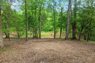 241 Bramlett Rd, Greer, SC 29651 - Photo 48