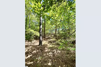 011 Sc - 413 Highway, Anderson, SC 29621 - Photo 8