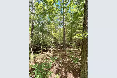 012 Sc - 413 Highway, Anderson, SC 29621 - Photo 4