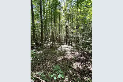 012 Sc - 413 Highway, Anderson, SC 29621 - Photo 12
