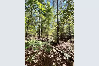 013 Sc - 413 Highway, Anderson, SC 29621 - Photo 2