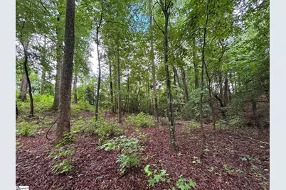 3009 Kemet Way, Simpsonville, SC 29681 - Photo 12