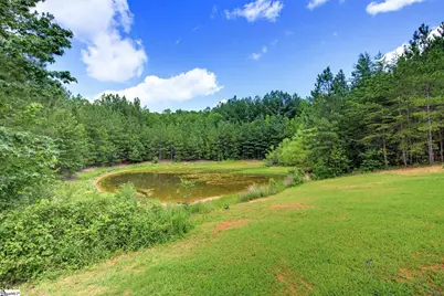 1217 Pleasant Hill Road, Landrum, SC 29356 - Photo 38