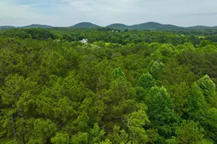 225 Meadow Brook Ln, Pickens, SC 29671 - Photo 8