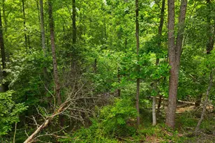 225 Meadow Brook Ln, Pickens, SC 29671 - Photo 10