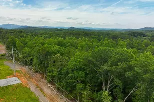 225 Meadow Brook Ln, Pickens, SC 29671 - Photo 22