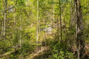 187 Shepherd Springs Dr, Cleveland, SC 29635 - Photo 46