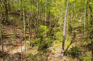 187 Shepherd Springs Dr, Cleveland, SC 29635 - Photo 40