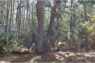 12 Sweetgrass Lane, Kiawah Island, SC 29455 - Photo 12