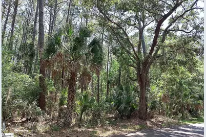 12 Sweetgrass Lane, Kiawah Island, SC 29455 - Photo 1