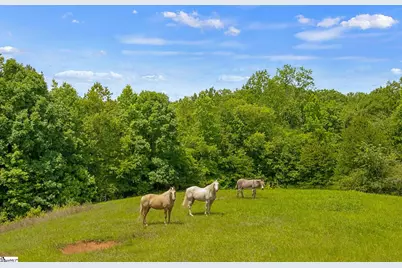 5230 Olden Porter Road, Pendleton, SC 29670 - Photo 44