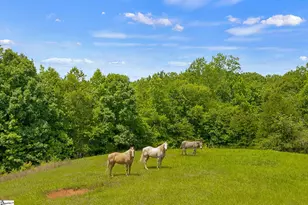 5230 Olden Porter Rd, Pendleton, SC 29670 - Photo 44