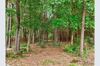729 Stringer Road, Belton, SC 29627 - Photo 46