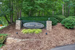 112 Santee Trail, Clemson, SC 29631 - Photo 48
