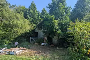 13869 S Hwy 101, Gray Court, SC 29645 - Photo 36