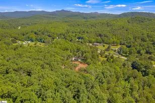 3306 Moorefield Memorial Hwy, Pickens, SC 29671 - Photo 34