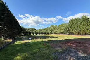 1044 W 11 Hwy, Chesnee, SC 29323 - Photo 14