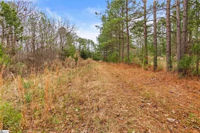 839 Duncan Creek Church Road, Laurens, SC 29360 - Photo 48