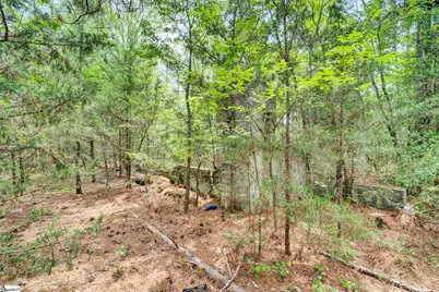 00 Stomp Springs Drive, Clinton, SC 29325 - Photo 20